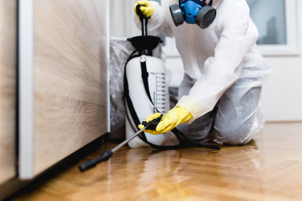 Best Termite Control Services  in Rendon, TX