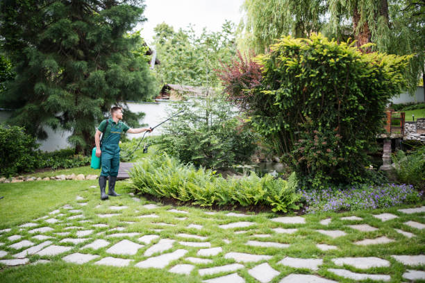 Best Pest Removal Services  in Rendon, TX