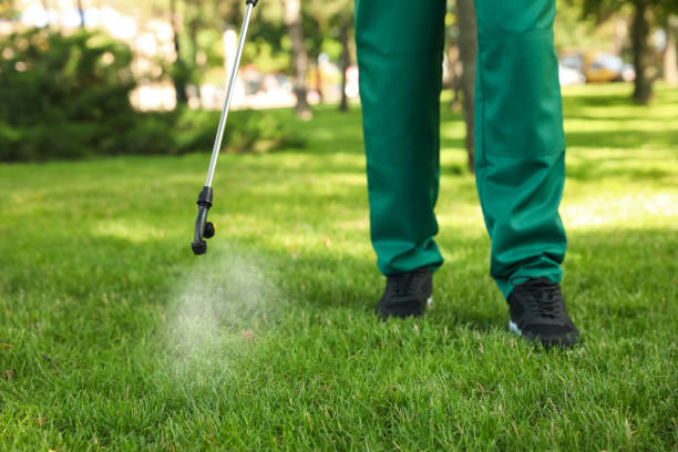 Pest Control Cost in Rendon, TX