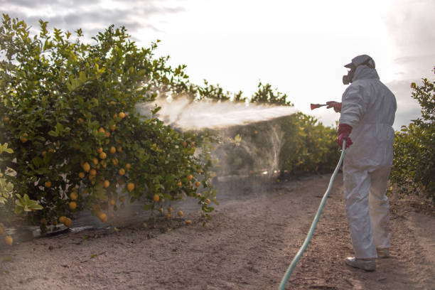 Professional Pest Control in Rendon, TX