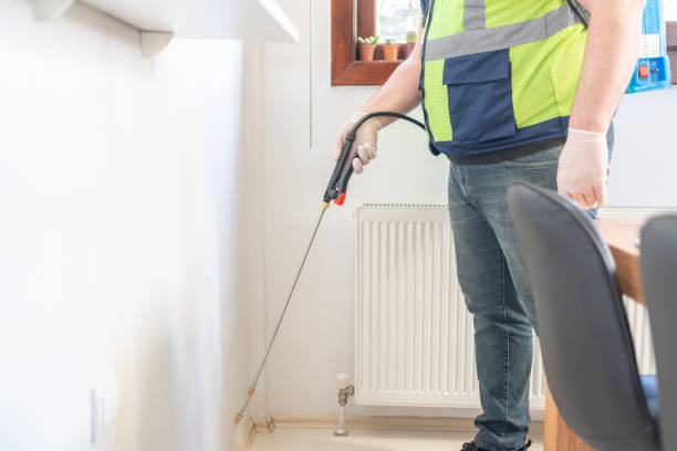 Best Flea Control Services  in Rendon, TX