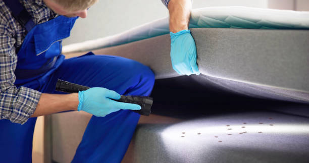 Best Local Pest Control Services  in Rendon, TX