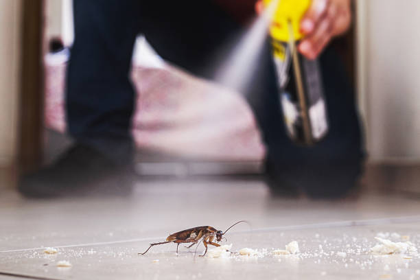 Best Rodent Control Near Me  in Rendon, TX