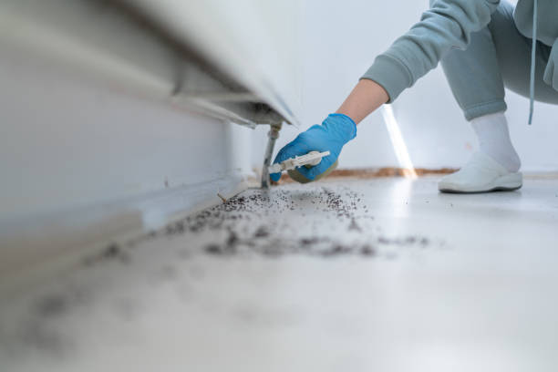 Best Pest Prevention Services  in Rendon, TX
