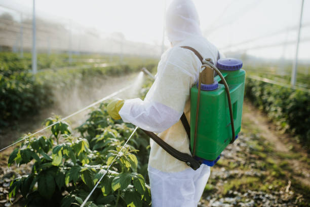 Best Commercial Pest Control Services  in Rendon, TX